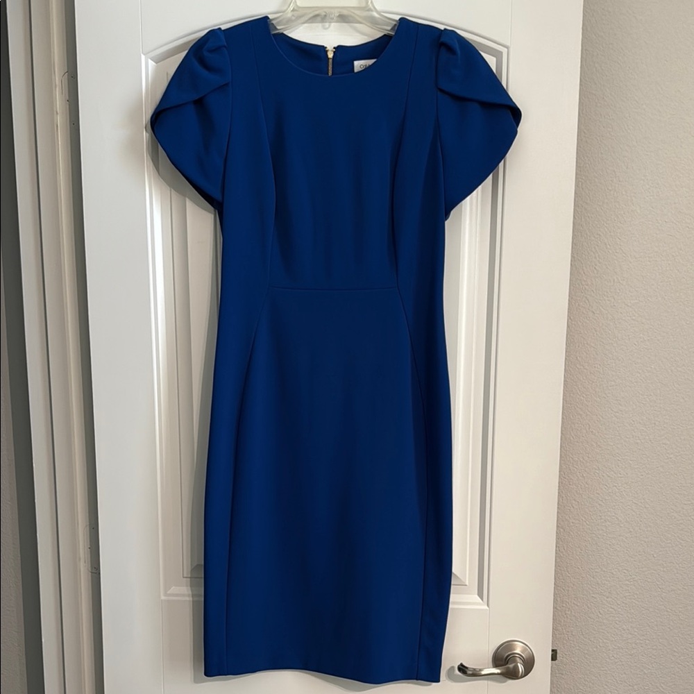 Calvin Klein Blue Sheath Dress with Puff Cap Sleeves